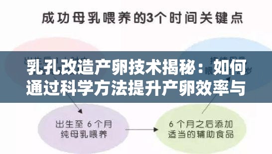 乳孔改造产卵技术揭秘：如何通过科学方法提升产卵效率与成功率？