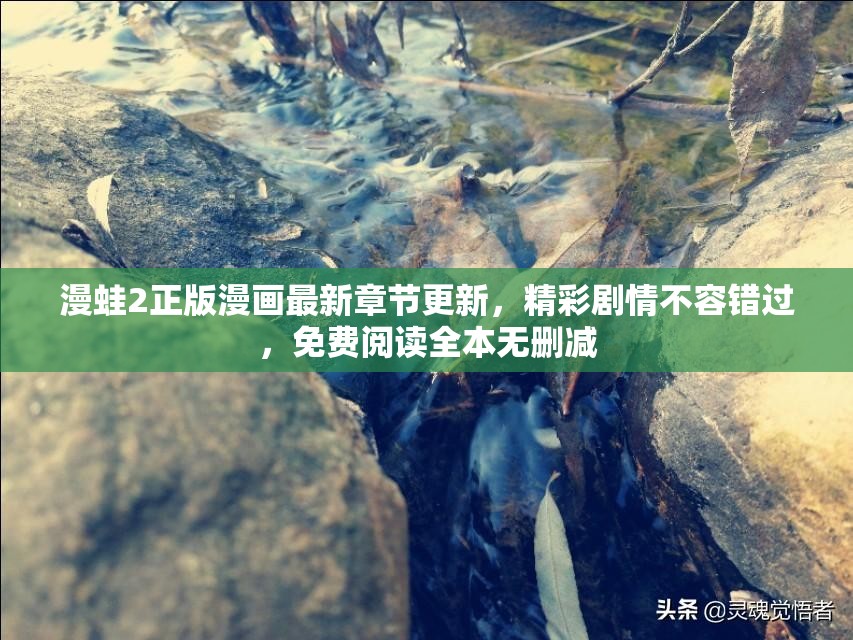 漫蛙2正版漫画最新章节更新，精彩剧情不容错过，免费阅读全本无删减