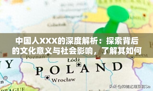 中国人XXX的深度解析：探索背后的文化意义与社会影响，了解其如何塑造现代中国