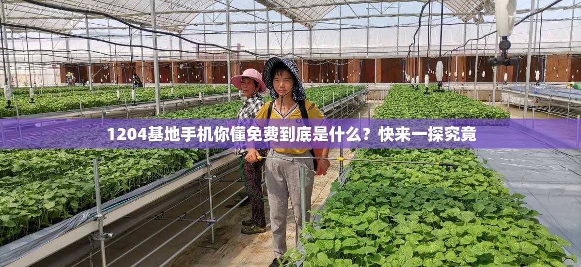 1204基地手机你懂免费到底是什么？快来一探究竟