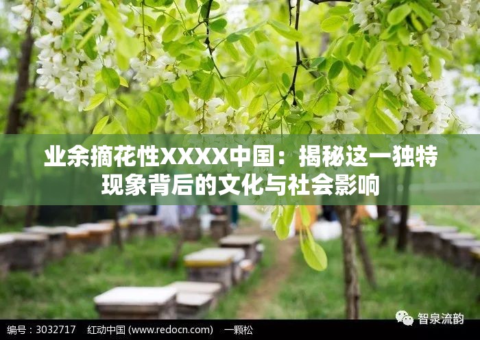 业余摘花性XXXX中国：揭秘这一独特现象背后的文化与社会影响