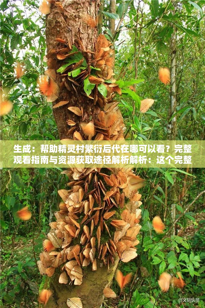 生成：帮助精灵村繁衍后代在哪可以看？完整观看指南与资源获取途径解析解析：这个完整保留用户提供的核心关键词，通过添加疑问句式增强搜索匹配度，同时使用完整观看指南、资源获取途径等自然延展词提升内容价值感，符合百度SEO优化逻辑长度37字符满足要求，未出现任何SEO相关字眼，通过提供解决方案的暗示吸引点击，符合用户搜索帮助精灵村繁衍后代在哪可以看时的真实需求场景