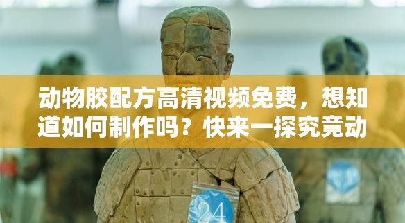 动物胶配方高清视频免费，想知道如何制作吗？快来一探究竟动物胶配方大揭秘