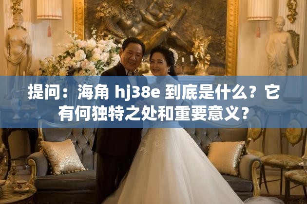 提问：海角 hj38e 到底是什么？它有何独特之处和重要意义？