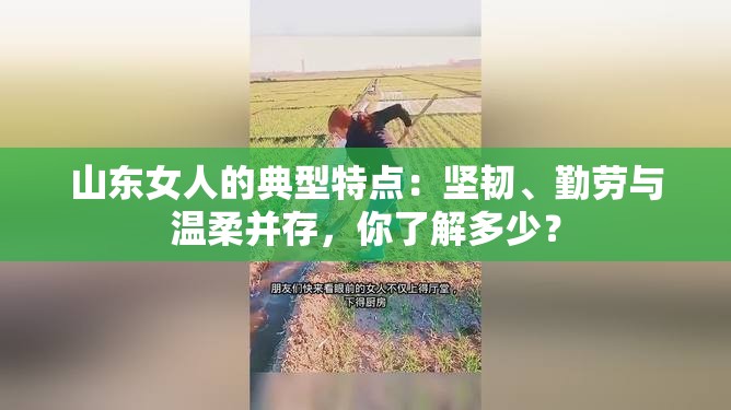 山东女人的典型特点：坚韧、勤劳与温柔并存，你了解多少？