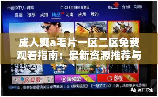 成人爽a毛片一区二区免费观看指南：最新资源推荐与高清流畅体验