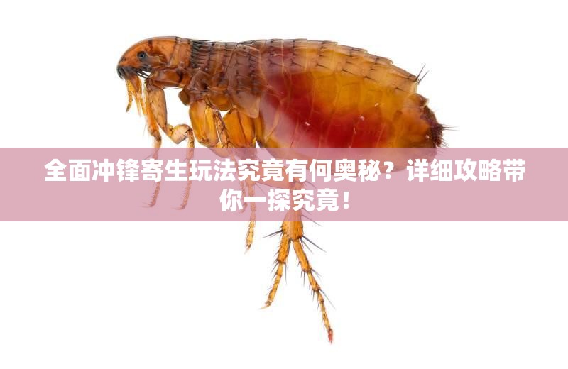 全面冲锋寄生玩法究竟有何奥秘？详细攻略带你一探究竟！