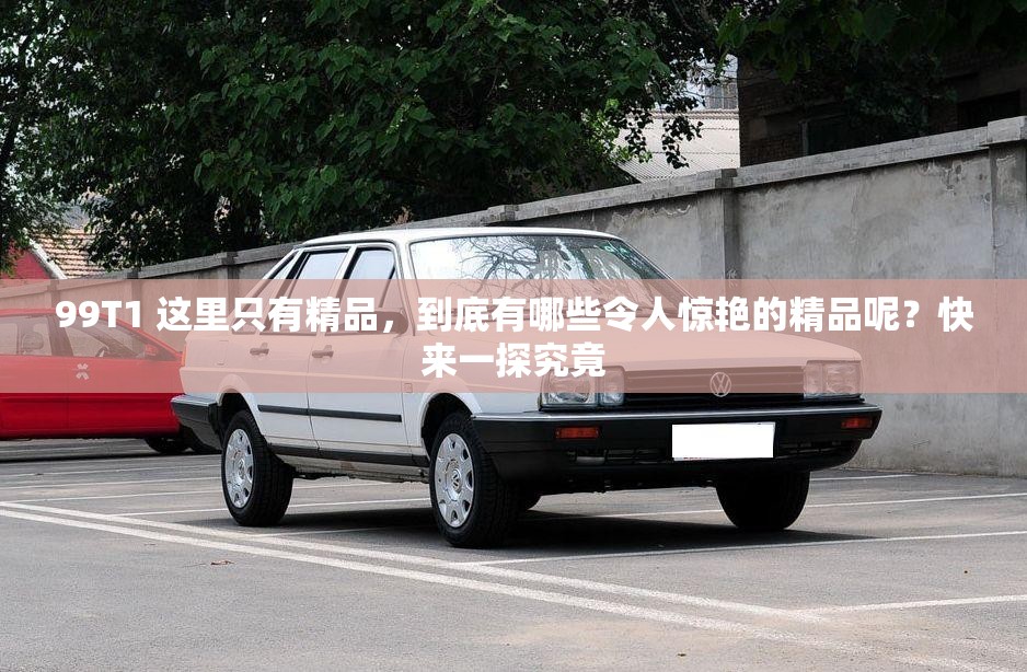 99T1 这里只有精品，到底有哪些令人惊艳的精品呢？快来一探究竟