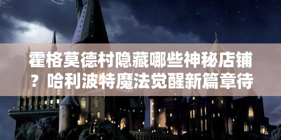 霍格莫德村隐藏哪些神秘店铺？哈利波特魔法觉醒新篇章待揭秘？