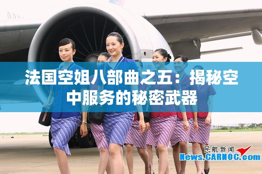 法国空姐八部曲之五：揭秘空中服务的秘密武器