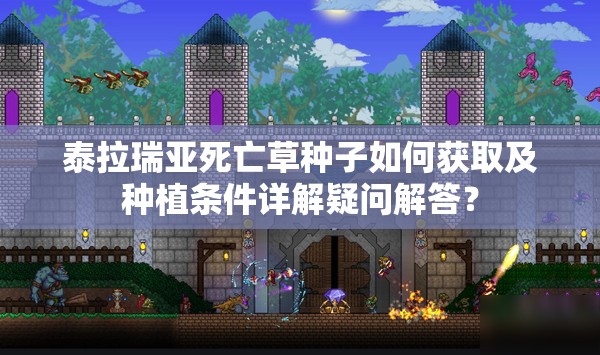 泰拉瑞亚死亡草种子如何获取及种植条件详解疑问解答？