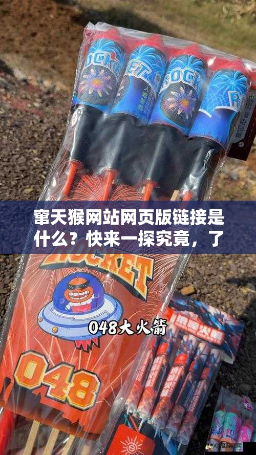 窜天猴网站网页版链接是什么？快来一探究竟，了解其独特之处
