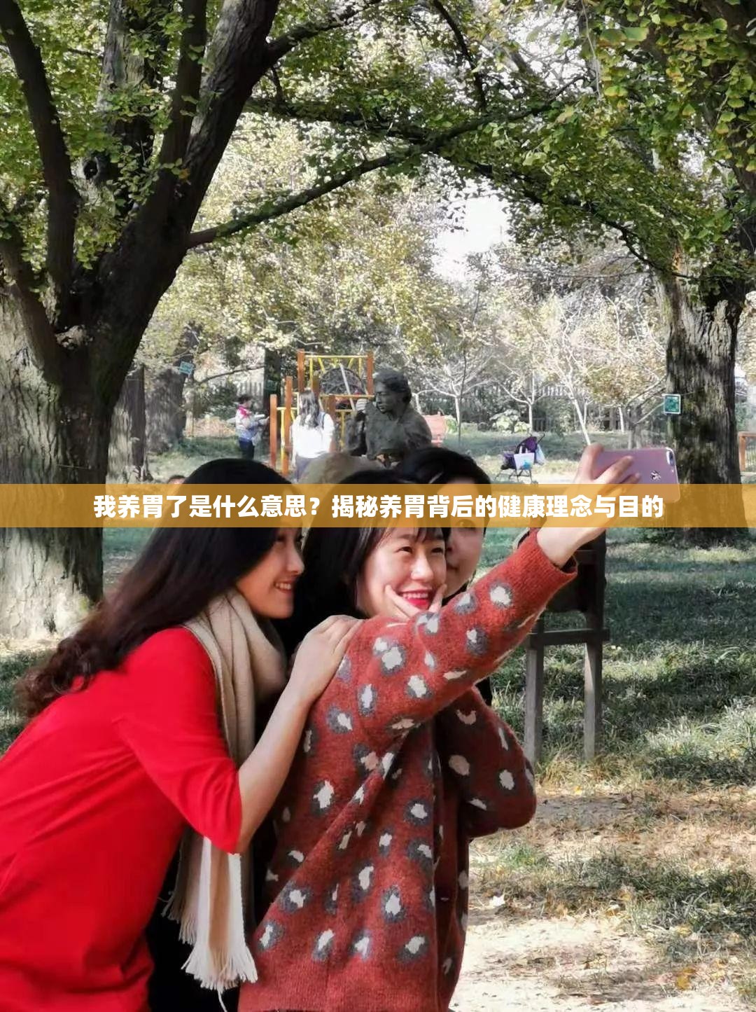 我养胃了是什么意思？揭秘养胃背后的健康理念与目的