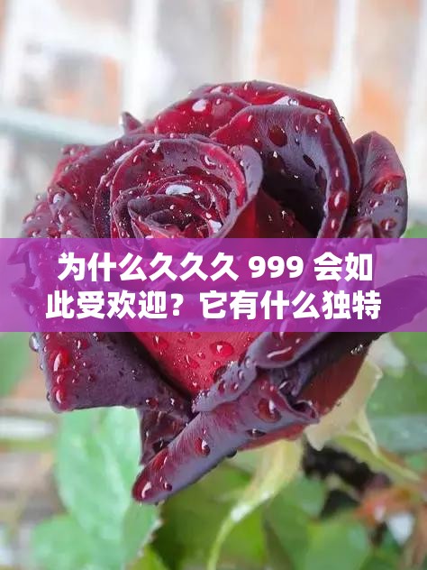 为什么久久久 999 会如此受欢迎？它有什么独特之处？