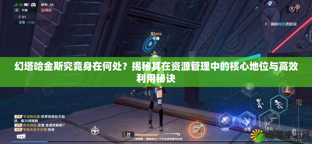 幻塔哈金斯究竟身在何处？揭秘其在资源管理中的核心地位与高效利用秘诀