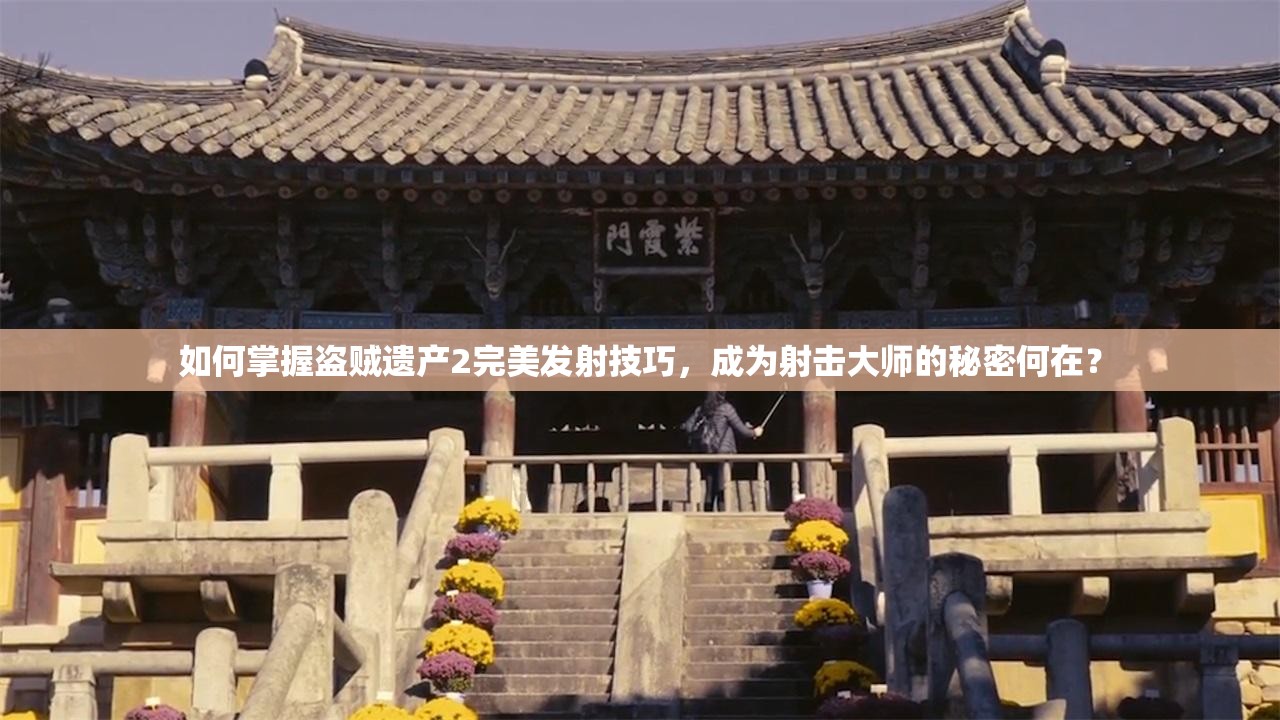 如何掌握盗贼遗产2完美发射技巧，成为射击大师的秘密何在？