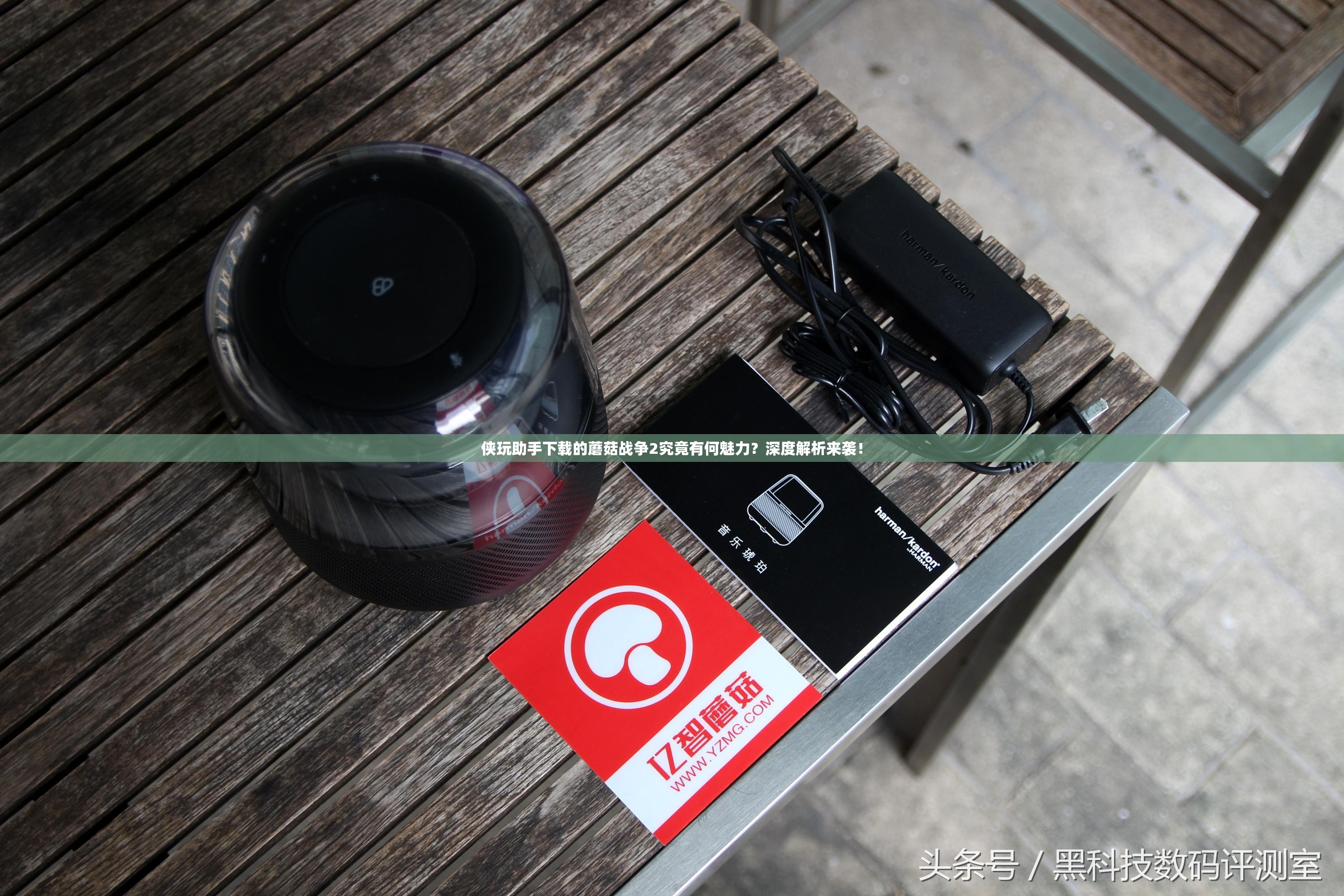 侠玩助手下载的蘑菇战争2究竟有何魅力？深度解析来袭！