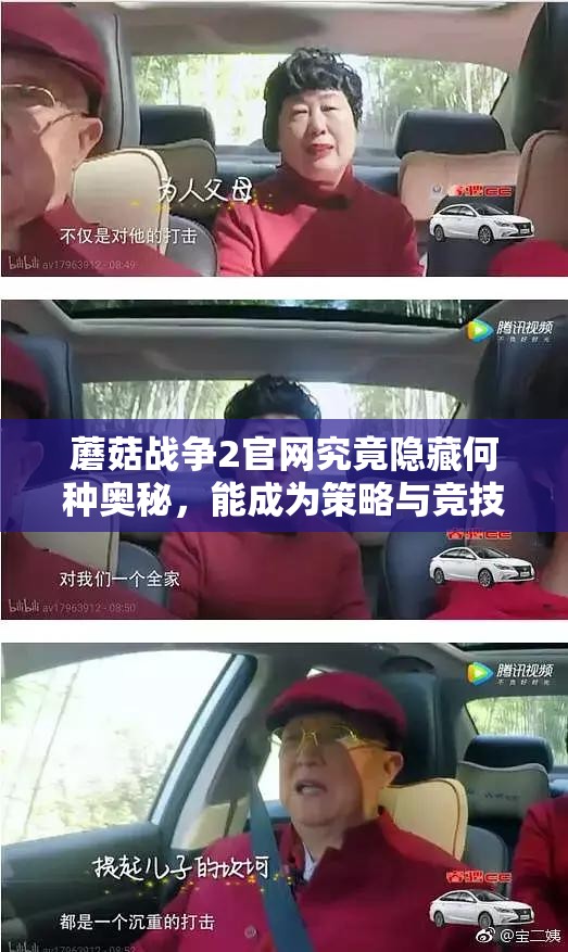 蘑菇战争2官网究竟隐藏何种奥秘，能成为策略与竞技的完美舞台？