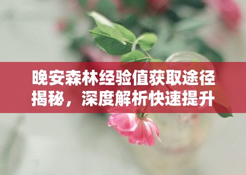 晚安森林经验值获取途径揭秘，深度解析快速提升经验的方法是什么？