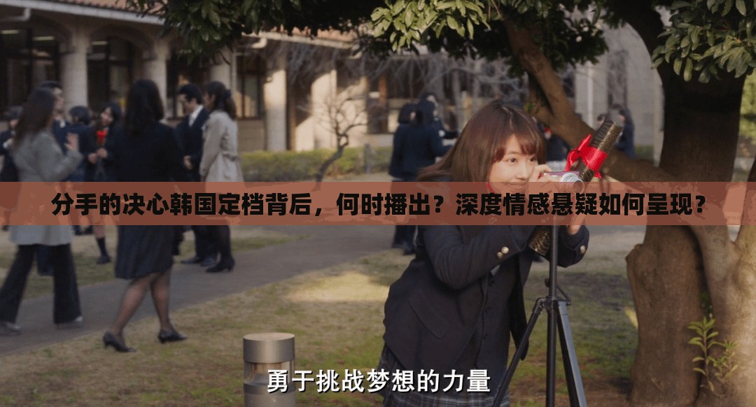 分手的决心韩国定档背后，何时播出？深度情感悬疑如何呈现？