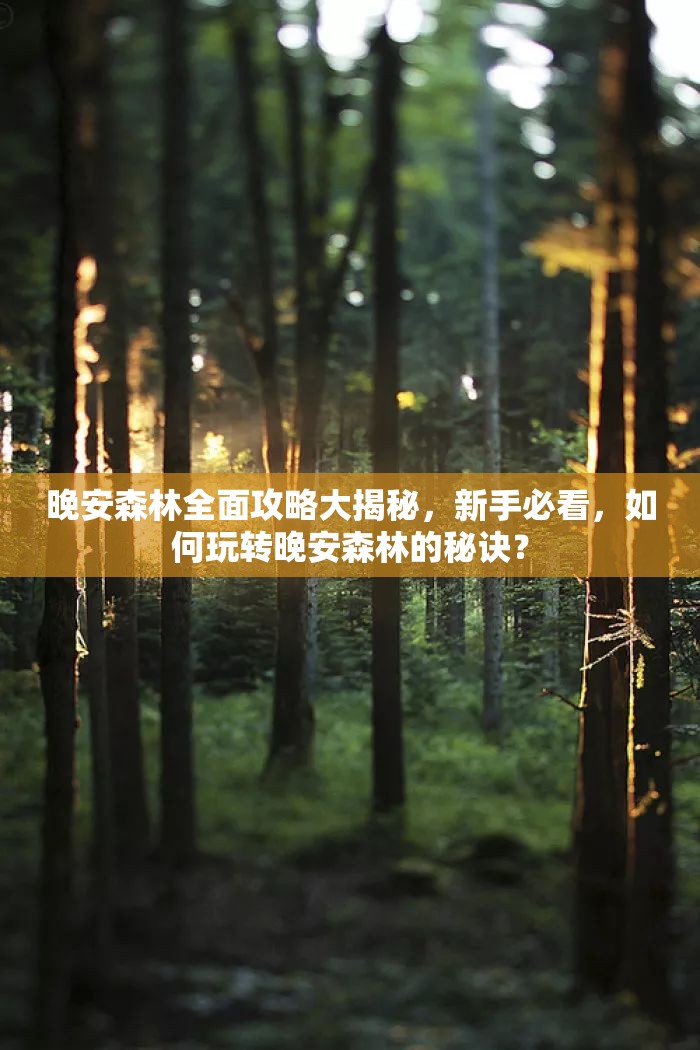晚安森林全面攻略大揭秘，新手必看，如何玩转晚安森林的秘诀？