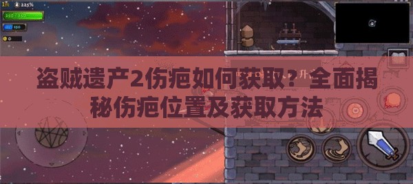 盗贼遗产2伤疤如何获取？全面揭秘伤疤位置及获取方法