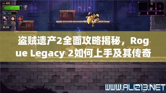 盗贼遗产2全面攻略揭秘，Rogue Legacy 2如何上手及其传奇演变史探秘？