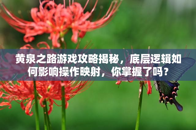 黄泉之路游戏攻略揭秘，底层逻辑如何影响操作映射，你掌握了吗？