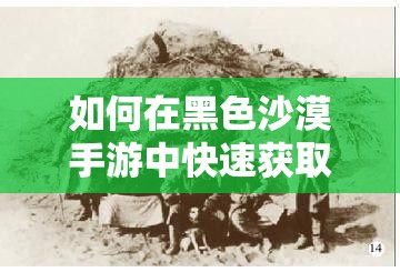 如何在黑色沙漠手游中快速获取货物搬运台套装？深度攻略揭秘！