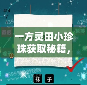一方灵田小珍珠获取秘籍，探索与智慧双重考验下如何成功获取？