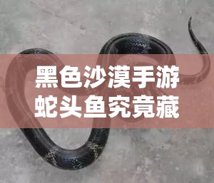 黑色沙漠手游蛇头鱼究竟藏身何处？全攻略带你揭秘！