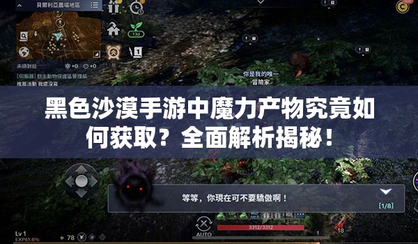 黑色沙漠手游中魔力产物究竟如何获取？全面解析揭秘！