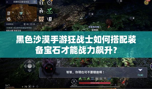 黑色沙漠手游狂战士如何搭配装备宝石才能战力飙升？