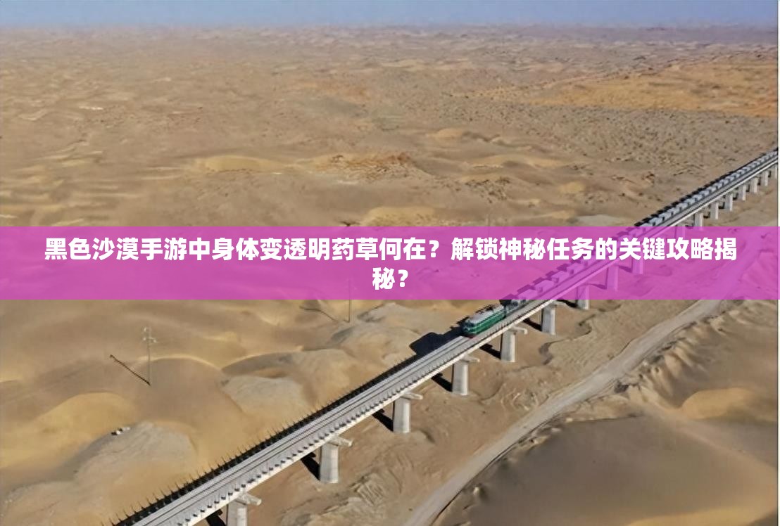 黑色沙漠手游中身体变透明药草何在？解锁神秘任务的关键攻略揭秘？