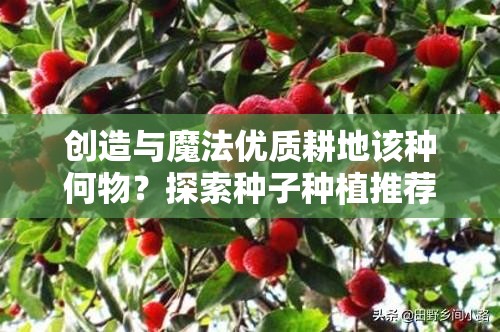 创造与魔法优质耕地该种何物？探索种子种植推荐演变史专题