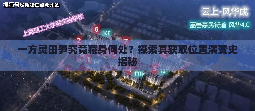 一方灵田笋究竟藏身何处？探索其获取位置演变史揭秘