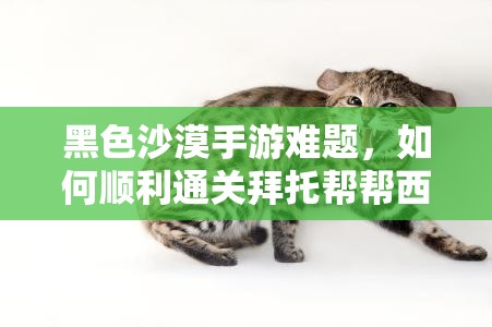 黑色沙漠手游难题，如何顺利通关拜托帮帮西亚倪第五天？