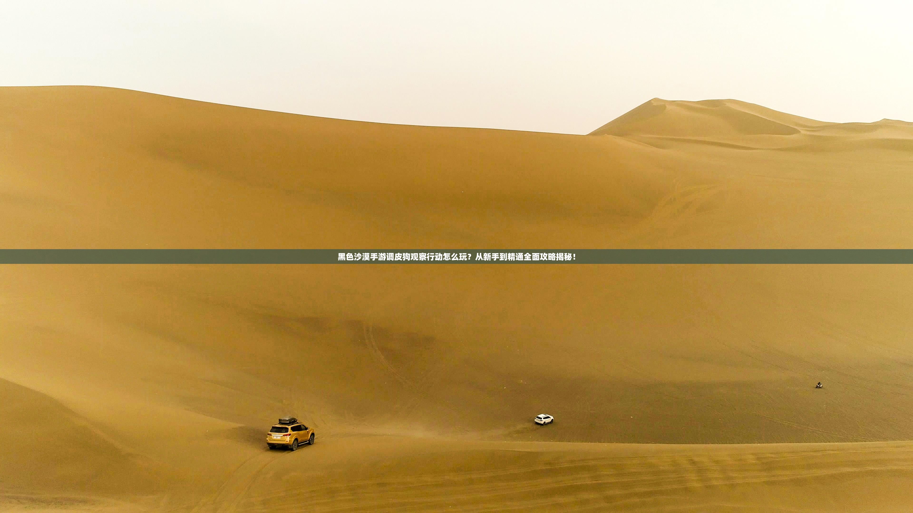黑色沙漠手游调皮狗观察行动怎么玩？从新手到精通全面攻略揭秘！