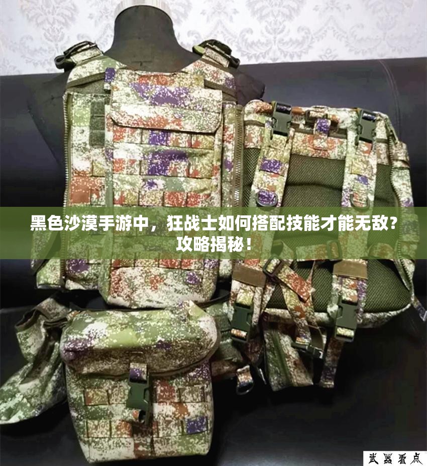 黑色沙漠手游中，狂战士如何搭配技能才能无敌？攻略揭秘！