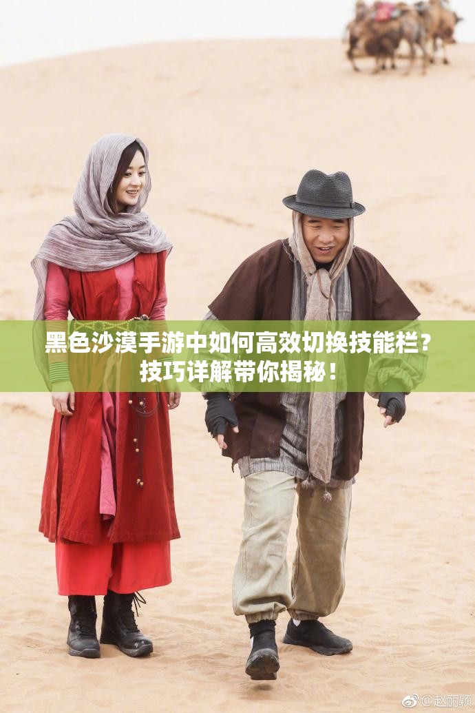 黑色沙漠手游中如何高效切换技能栏？技巧详解带你揭秘！