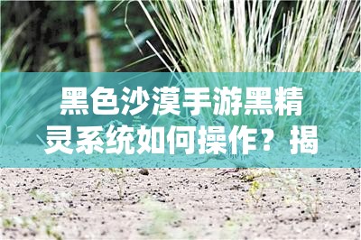 黑色沙漠手游黑精灵系统如何操作？揭秘资源管理、高效利用与价值最大化秘诀？