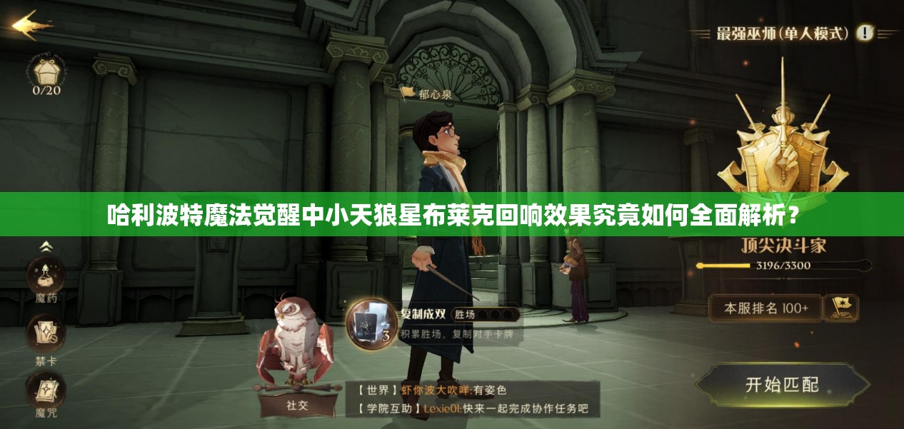 哈利波特魔法觉醒中小天狼星布莱克回响效果究竟如何全面解析？