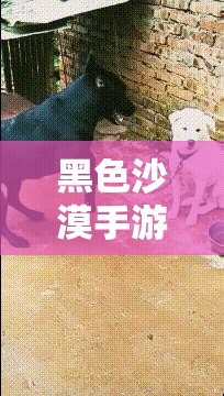 黑色沙漠手游挑战来袭，黑色瘦猫攻略任务究竟该如何完成？