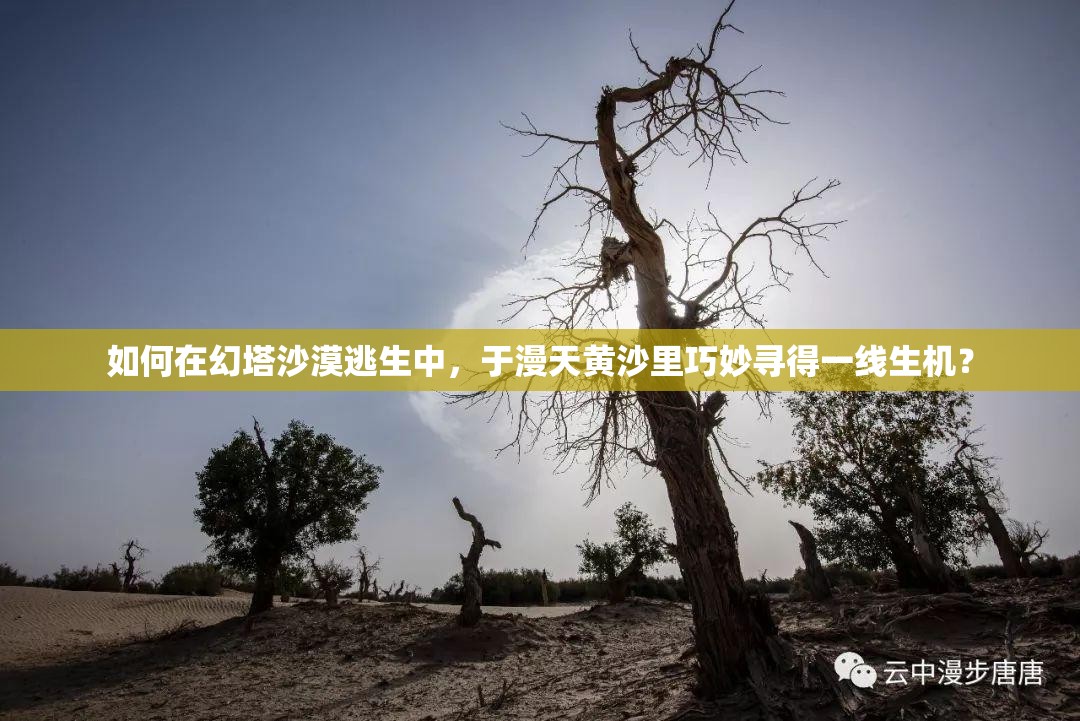 如何在幻塔沙漠逃生中，于漫天黄沙里巧妙寻得一线生机？