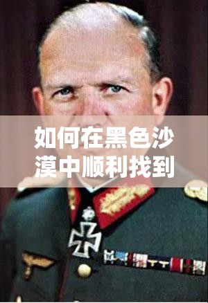 如何在黑色沙漠中顺利找到并驯服宠物鹰？全攻略揭秘！