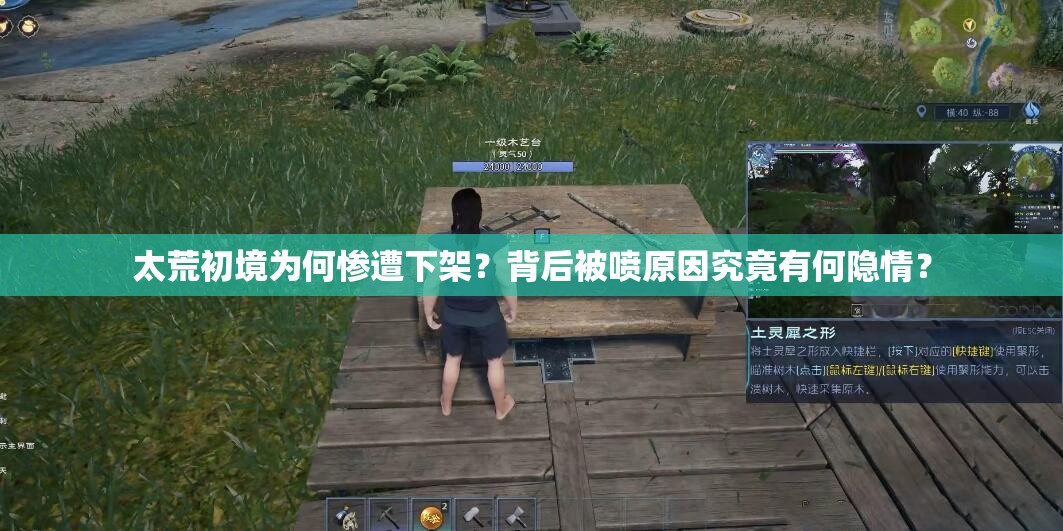 太荒初境为何惨遭下架？背后被喷原因究竟有何隐情？