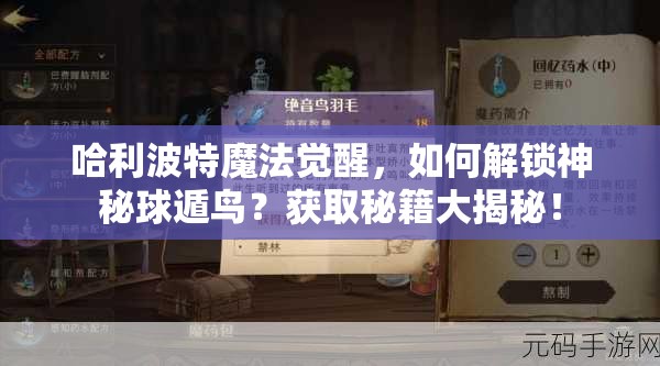 哈利波特魔法觉醒，如何解锁神秘球遁鸟？获取秘籍大揭秘！