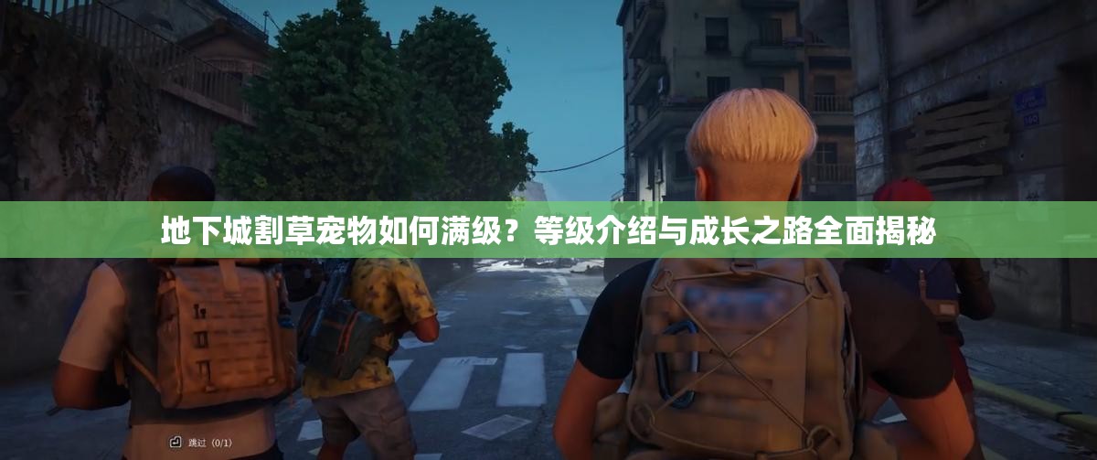 地下城割草宠物如何满级？等级介绍与成长之路全面揭秘