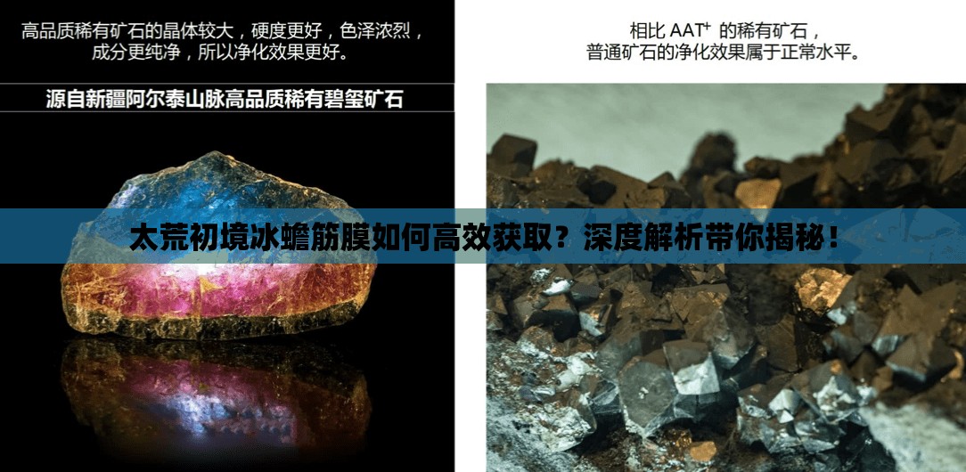 太荒初境冰蟾筋膜如何高效获取？深度解析带你揭秘！