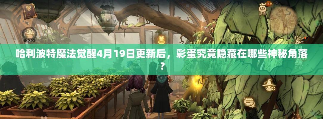 哈利波特魔法觉醒4月19日更新后，彩蛋究竟隐藏在哪些神秘角落？
